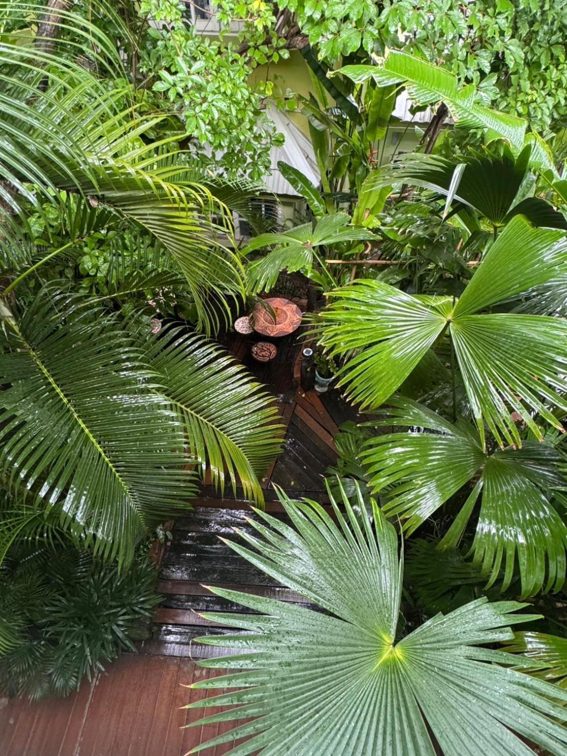 The Twenty Resort Chiang Mai