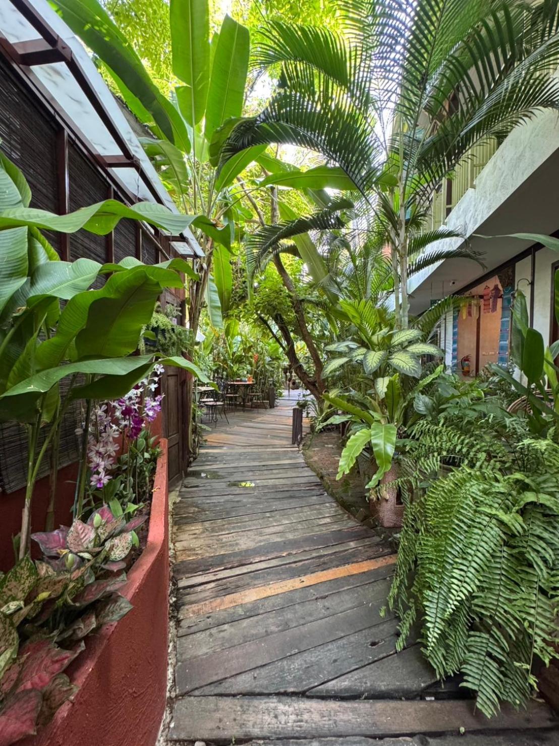 The Twenty Resort Chiang Mai